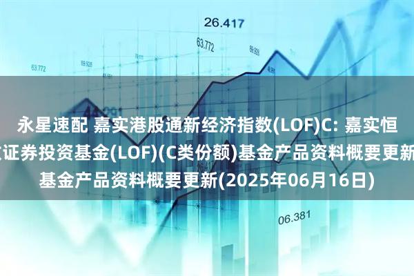 永星速配 嘉实港股通新经济指数(LOF)C: 嘉实恒生港股通新经济指数证券投资基金(LOF)(C类份额)基金产品资料概要更新(2025年06月16日)