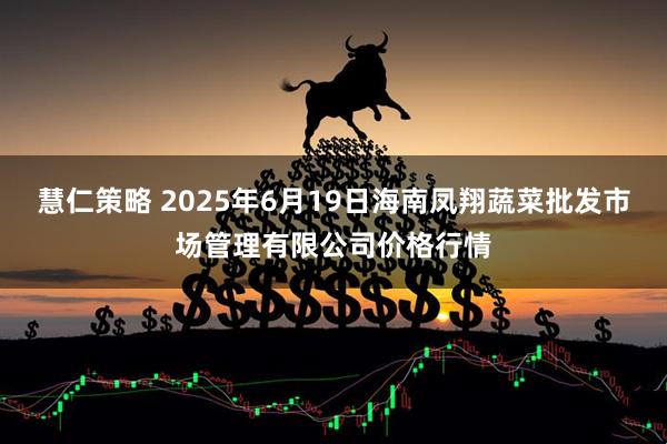 慧仁策略 2025年6月19日海南凤翔蔬菜批发市场管理有限公司价格行情