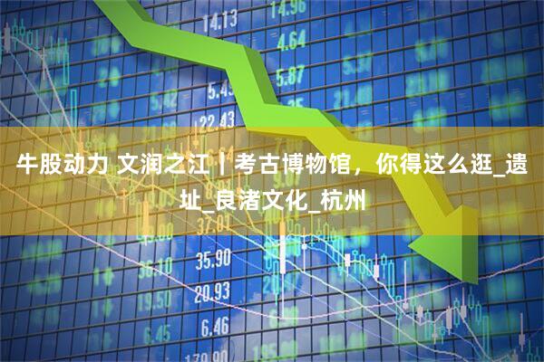牛股动力 文润之江｜考古博物馆，你得这么逛_遗址_良渚文化_杭州