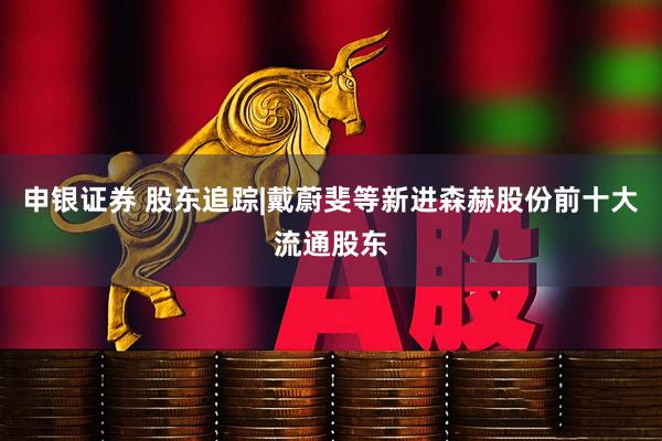 申银证券 股东追踪|戴蔚斐等新进森赫股份前十大流通股东