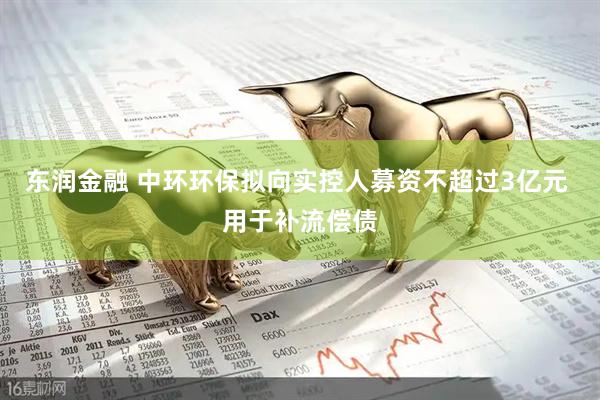 东润金融 中环环保拟向实控人募资不超过3亿元 用于补流偿债