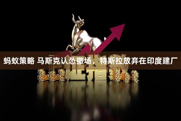 蚂蚁策略 马斯克认怂撤场，特斯拉放弃在印度建厂